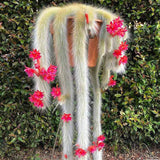 Cactus Coada de Maimuta (Hildewintera) - 25 cm