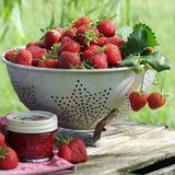 Capsun Mara Des Bois, cu fructe dulci