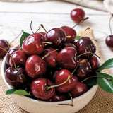 Cires Columnar (Prunus Avium) Sylvia, cu fructe dulci rosii-inchis