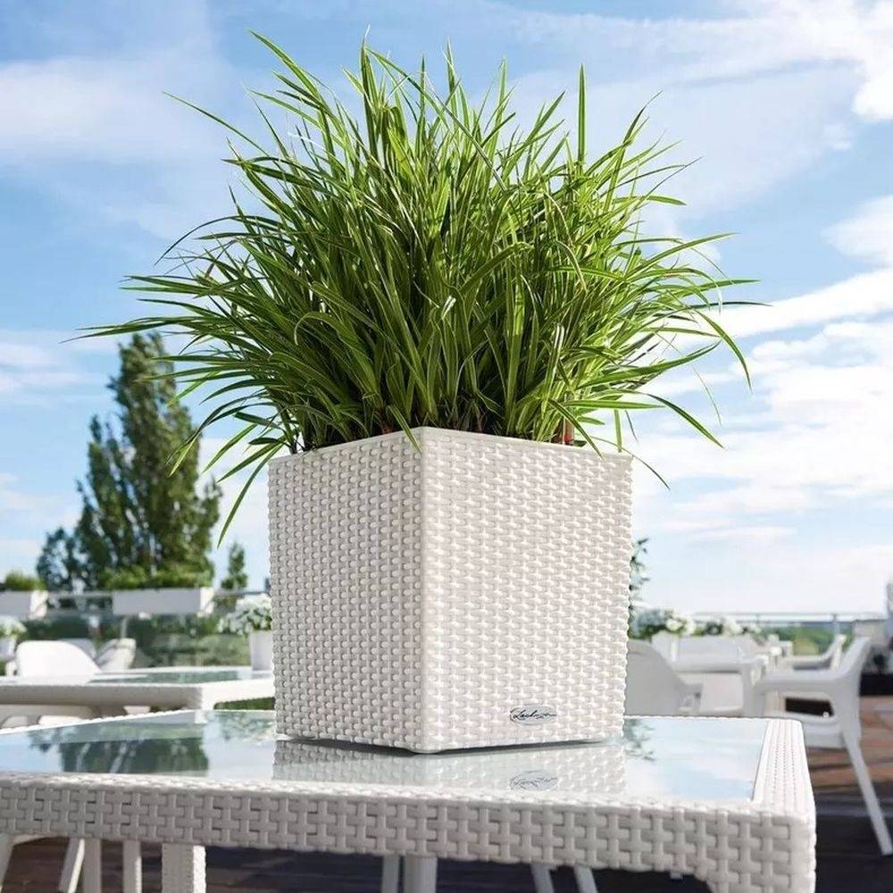Lechuza Cube Cottage 30 öntözős kaspó – 12 l, rattan hatású, fehér