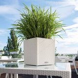 Lechuza Cube Cottage 30 öntözős kaspó – 12 l, rattan hatású, fehér