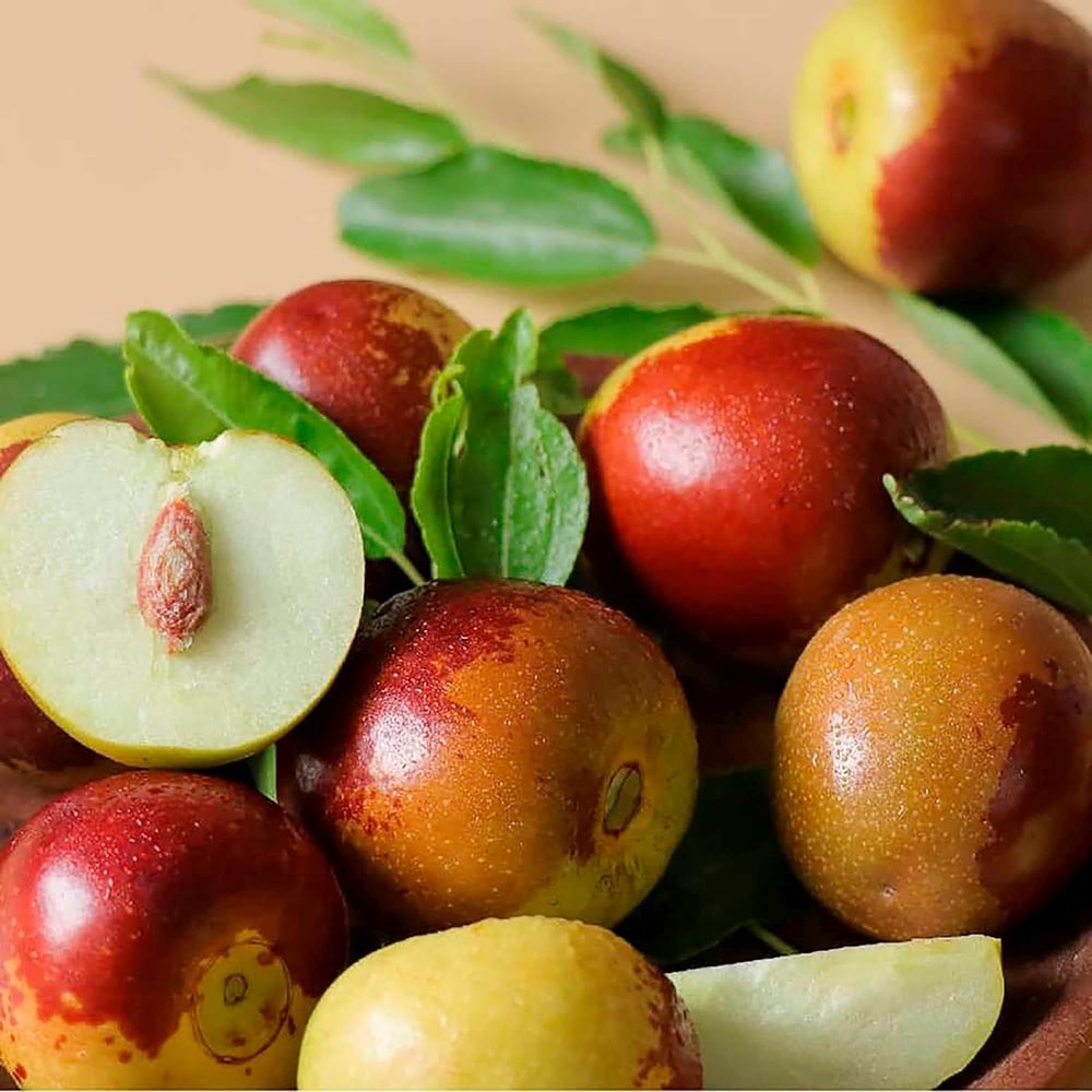 Curmal Chinezesc (Ziziphus jujuba), cu fructe dulci