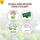 Extract de Urzica pentru Plante, 1l, SOLABIOL