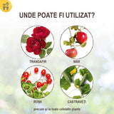 Extract de Urzica pentru Plante, 1l, SOLABIOL