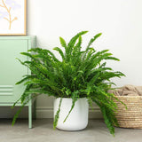 Feriga Sabie de camera Green Lady - 35-40 cm