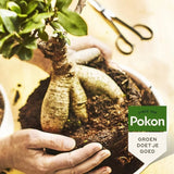 Fertilizator Lichid POKON pentru Bonsai 250 ml