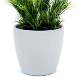 Ghiveci plante rotund Ceramic Scheurich, Ø 11 cm, H10 cm, Alb