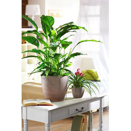 Ghiveci plante rotund Ceramic Scheurich, Ø 28 cm, H25,2 cm, Maro