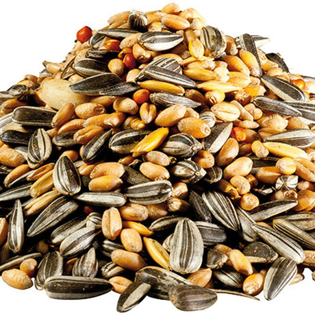 Hrana simpla de pasari salbatice PANTO, 1kg