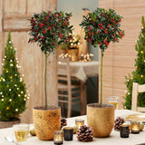 Ilex Blue Maid Copacel, frunzis verde-inchis, vesnic verde, fructe rosii decorative, decor iarna
