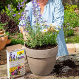 Ingrasamant pentru Plante Perene, 1 kg, NEUDORFF