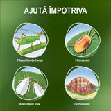 Insecticid Organic pentru plante Ornamentale contra Afidelor, 750 ml, COMPO