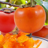 Pom Kaki Mela Hana Fuju (Diospyrus), Curmal Japonez, cu fructe portocaliu, an 2 pe rod