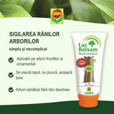 Mastic pentru sigilarea taierilor la pomi Lac Balsam, 150 g, Protejeaza si Vindeca, COMPO