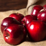 Mar (Malus) Rosa Stark Delicious, cu fructe rosii dulci-zemoase, an 3 pe rod
