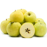 Mar (Malus) Gold Rush, cu fructe galbene dulci-acrisor, an 3 pe rod