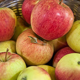 Mar (Malus) Pinova, cu fructe dulci-acrisor portocalii-roscat