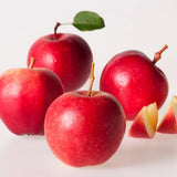 Mar (Malus) Sweet Love, cu fructe dulci-acrisor rosii
