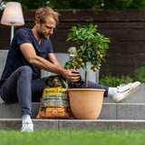 Pamant pentru Plante Citrice si Mediteraneene, 10 l, cu Ingrasamant Premium Imbogatit cu Fier, Floragard