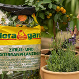Pamant Premium pentru Citrice si Plante Mediteraneene, 40 l, Floragard