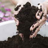 Pamant universal pentru Plante de Interior 10 l