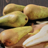 Par (Pyrus Communis) Conference, cu fruncte alungite dulci si suculente