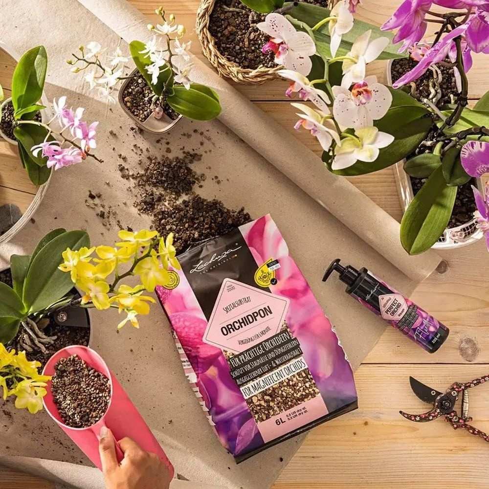 Substrat Mineral LECHUZA Orchidpon 3 l, pentru orhidee, 100% fara turba, cu ingrediente naturale
