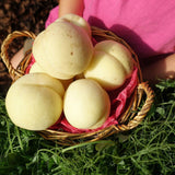 Piersic Ice Peach (Prunus Persica), cu fructe dulci albe