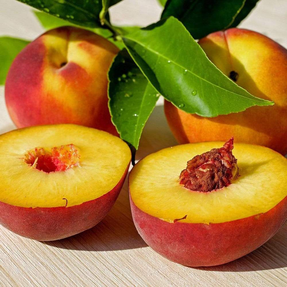 Piersic (Prunus persica), cu fructe dulci galbene