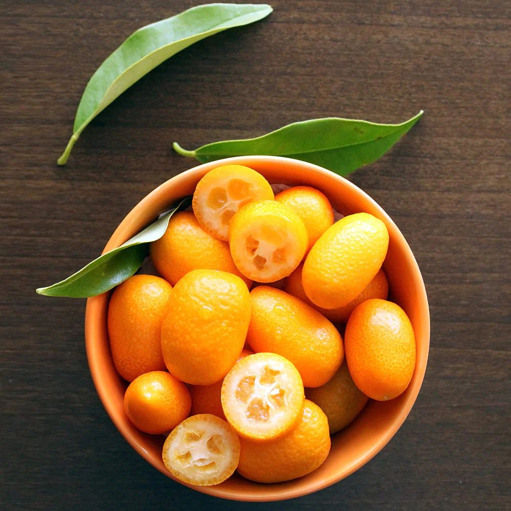 Pom Portocal Margarita Kumquat - 65 cm