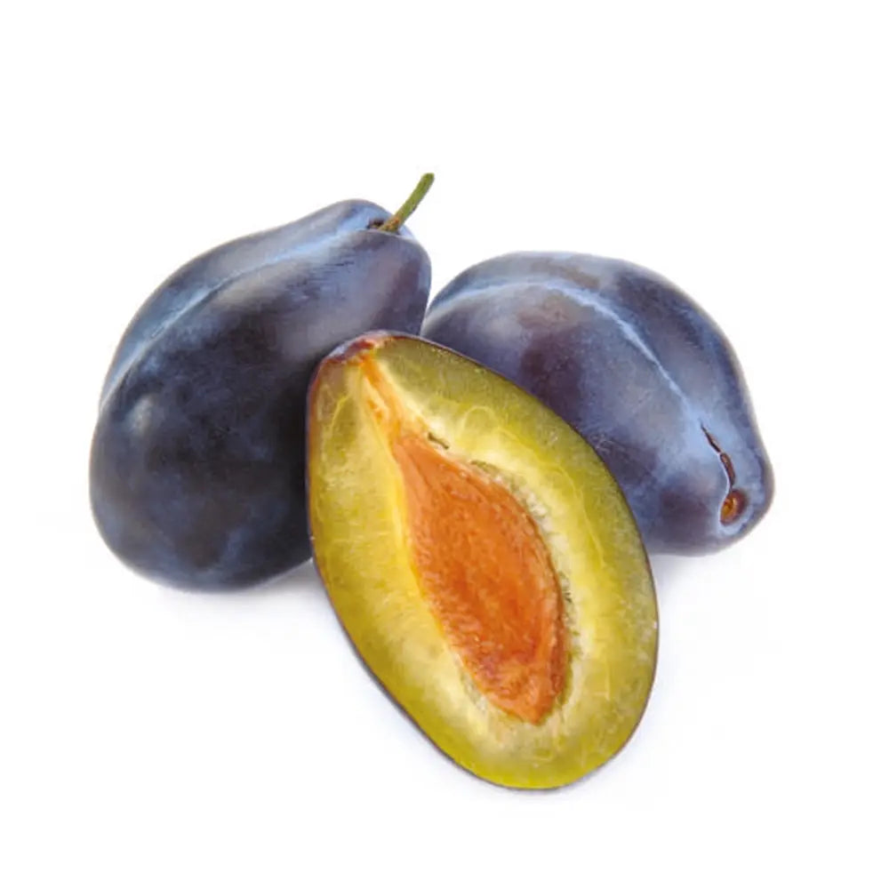 Prun Stanley (Prunus Domestica), cu fructe dulci mov, an 2 pe rod