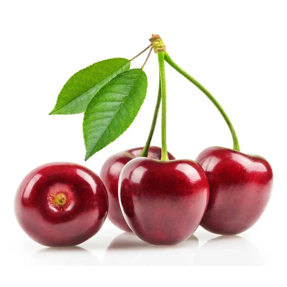 Cires (Prunus Avium) Amarena, cu fructe dulci rosii-inchis, an 2 pe rod
