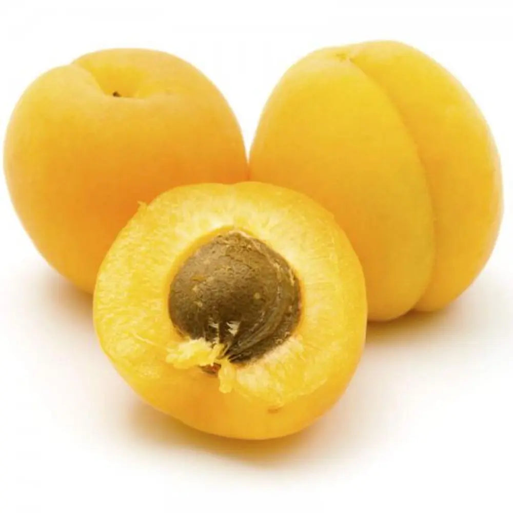 Cires (Prunus Avium) Imperiale Gialla cu fructe dulci galbene, an 2 pe rod
