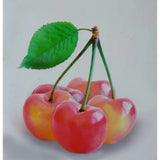 Cires (Prunus Avium) Napoleon cu fructe dulci galbene-rosii, an 2 pe rod
