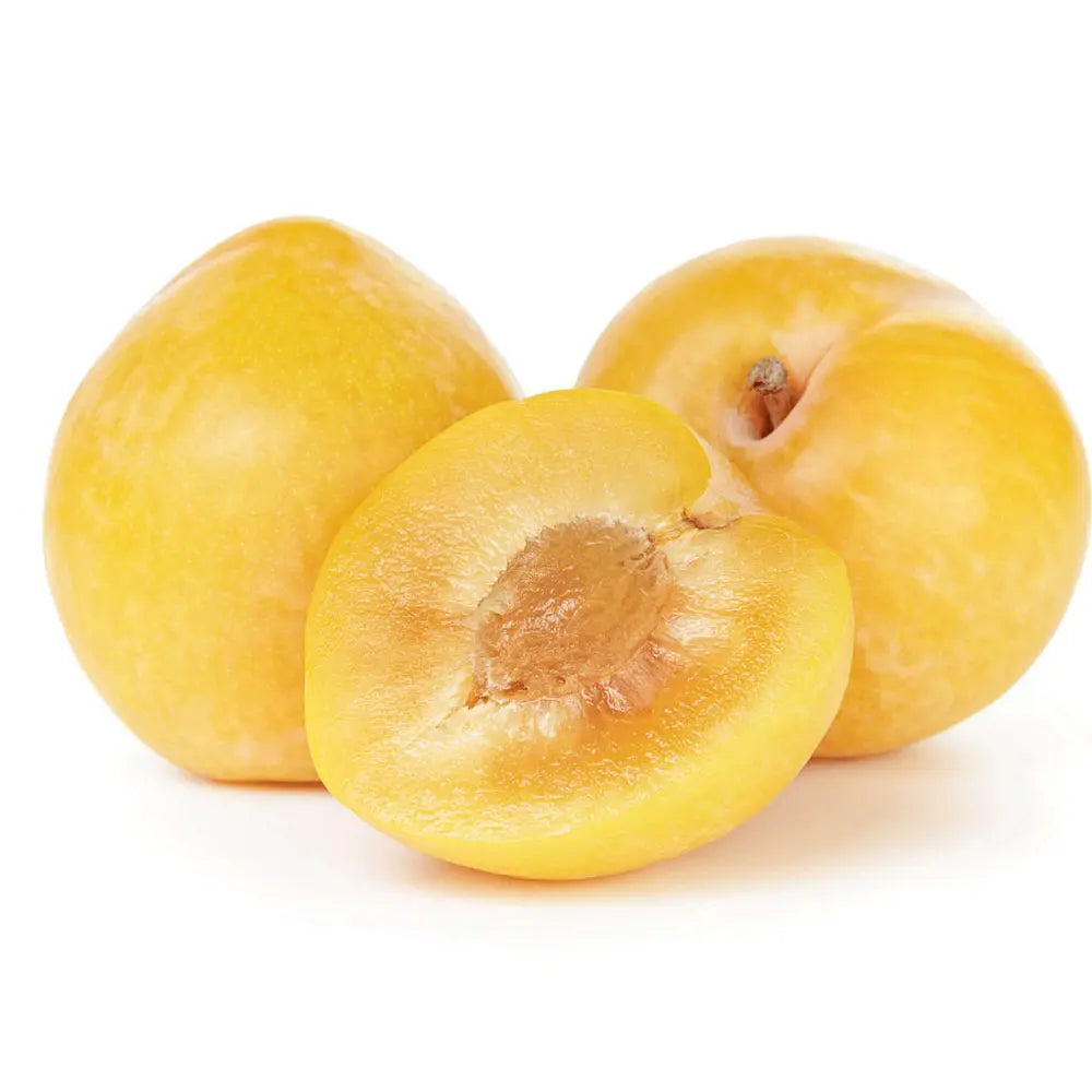 Prun Golden Plum (Prunus Domestica), cu fructe dulci galbene-aurii, an 2 pe rod
