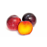 Piersic (Prunus Persica) Cotogno, cu fructe galben, an 2 pe rod