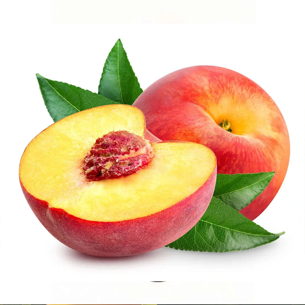 Piersic (Prunus Persica) Summerset cu fructe rosii-portocalii, an 2 pe rod