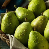 Par (Pyrus Communis) Butirra D'Anjou, cu fructe galbene-verzui dulci, an 2 pe rod