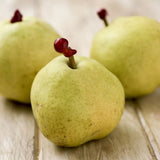 Par (Pyrus Communis) Passa Grassana, cu fructe verzi-galbiu dulci-acrisor, an 2 pe rod