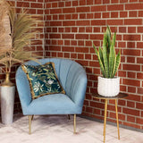 Sansevieria (Limba Soacrei) Laurentii - 30 cm