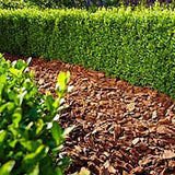 Scoarta de Pin Decorativa pentru Tulpina, 25-40 mm, 60 l, Floragard