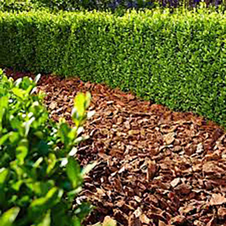 Scoarta de Pin Decorativa pentru Tulpina, 25-40 mm, 60 l, Floragard