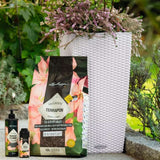 Substrat Mineral LECHUZA Terrapon 6 l, pentru plante de exterior, 100% fara turba, cu ingrediente naturale