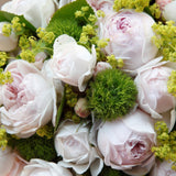 Trandafir Tufa roz Herzogin Christiana, parfum intens