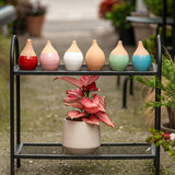 Vas de auto-udare plante alb LUTOYA, decorativ, ceramic, lut, natural, 700 ml