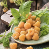 Zmeur Golden Everest (Rubus Idaeus), cu fructe dulci galbene