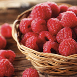 Zmeur Rosu Autumn Bliss (Rubus Idaeus), cu fructe dulci-acrisoare rosii